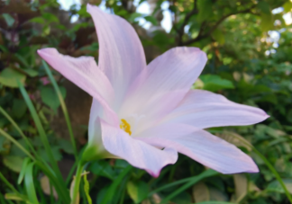 為什么夏天容易睡不好 夏天睡不好怎么辦