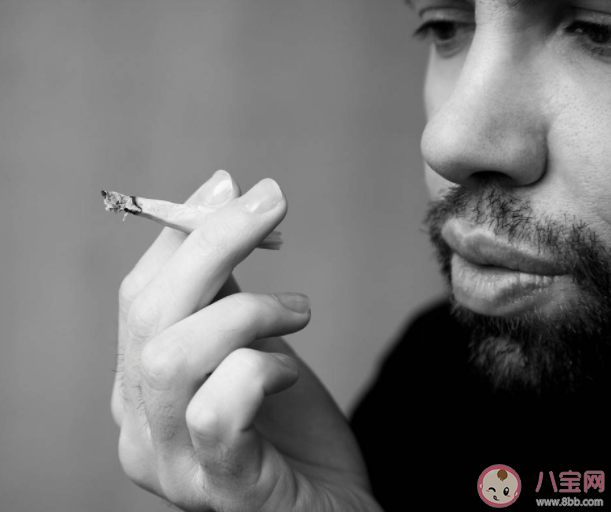 螞蟻莊園吸煙會影響顏值嗎 8月3日正確答案 螞蟻莊園吸煙會影響顏值嗎 8月3日正確答案