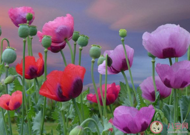 2022七夕節賀卡內容送女友祝福語說說 2022七夕節送女朋友的賀卡問候語句子 2022七夕節賀卡內容送女友祝福語說說 2022七夕節送女朋友的賀卡問候語句子