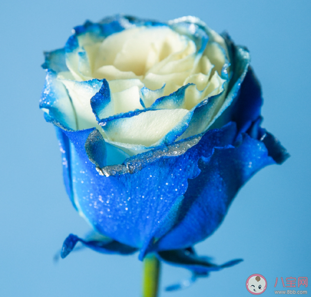 七夕文案唯美短句2022 七夕情人節簡短治愈文案2022