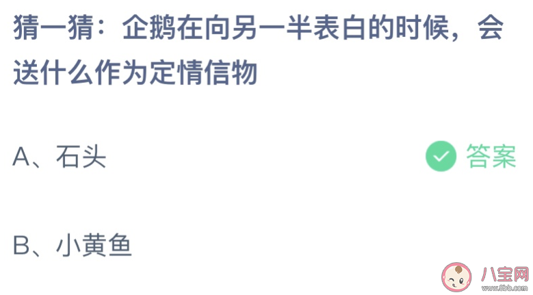 企鵝在向另一半表白的時候會送什么作為定情信物 螞蟻莊園8月4日答案最新
