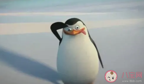 企鵝在向另一半表白的時候會送什么作為定情信物 螞蟻莊園8月4日答案最新