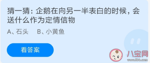 螞蟻莊園企鵝在向另一半表白的時候會送什么作為定情信物 8月4日答案解析 螞蟻莊園企鵝在向另一半表白的時候會送什么作為定情信物 8月4日答案解析