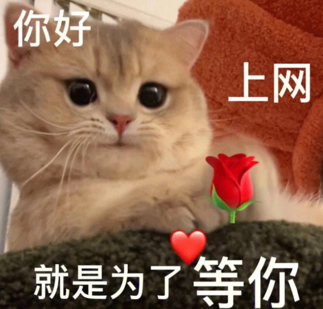 有哪些令人印象深刻的副cp 哪些小說的副cp讓你難忘