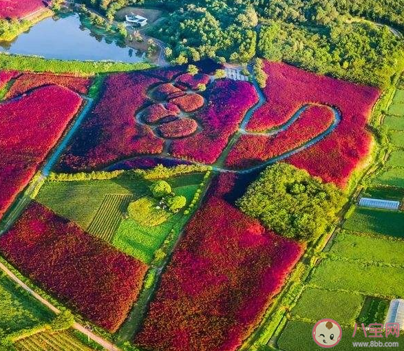 為什么情侶會很在乎儀式感 你覺得儀式感真的重要嗎