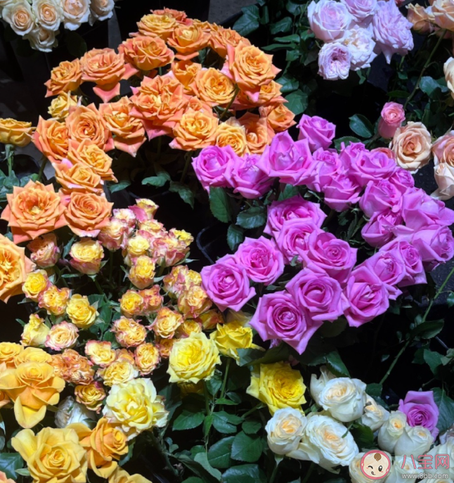 為什么情侶會很在乎儀式感 你覺得儀式感真的重要嗎