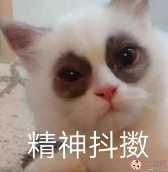 累丑究竟是怎么回事 累丑的表現(xiàn)是什么 累丑究竟是怎么回事 累丑的表現(xiàn)是什么