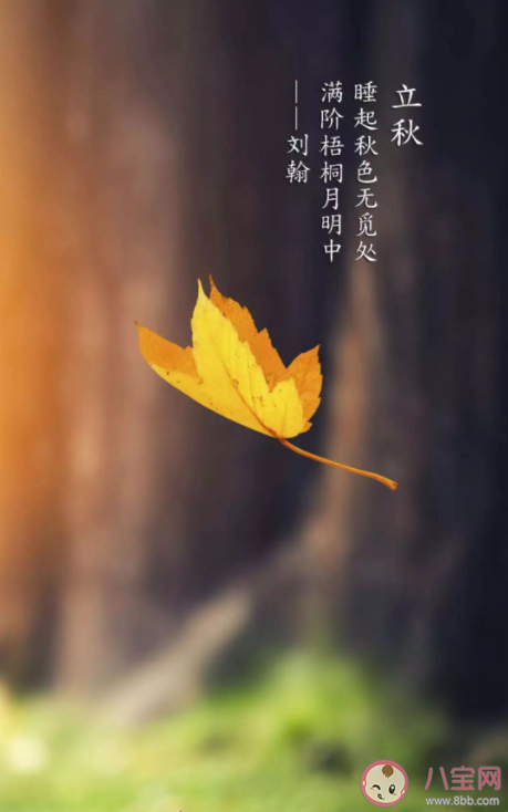 2022年有秋老虎嗎 閉眼秋是什么意思 2022年有秋老虎嗎 閉眼秋是什么意思