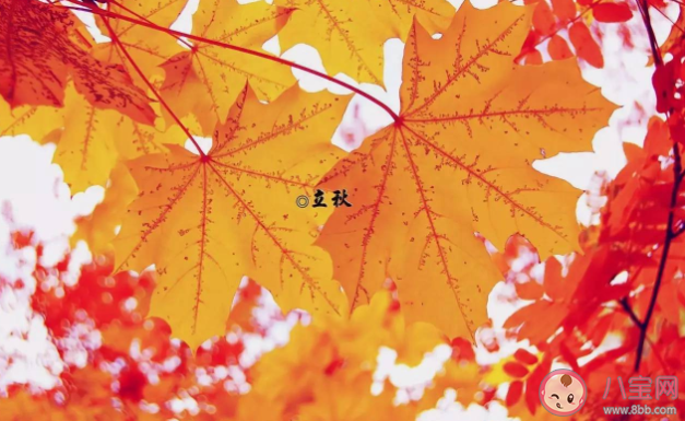 2022年有秋老虎嗎 閉眼秋是什么意思 2022年有秋老虎嗎 閉眼秋是什么意思