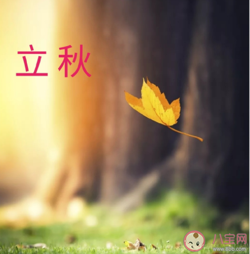 立秋早安動態問候語說說 立秋節氣早安發朋友圈正能量語錄