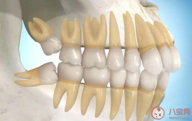牙齒矯正必須要拔牙嗎 牙齒矯正可以不對稱拔牙嗎 牙齒矯正必須要拔牙嗎 牙齒矯正可以不對稱拔牙嗎