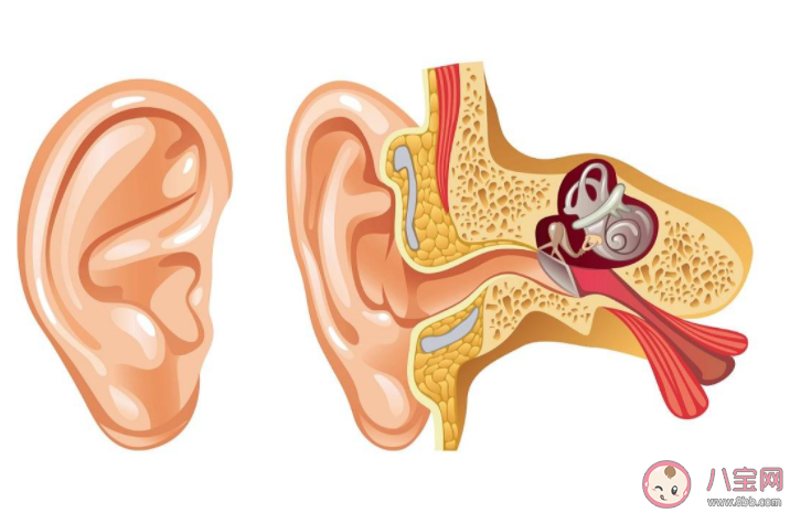耳朵進水感覺悶悶的要緊嗎 耳朵進水了怎么處理 耳朵進水感覺悶悶的要緊嗎 耳朵進水了怎么處理