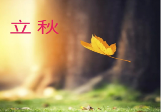 立秋早安動態(tài)問候語說說 立秋節(jié)氣早安發(fā)朋友圈正能量語錄