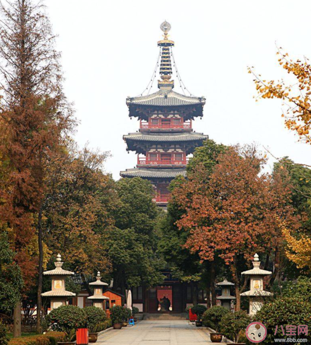 想體驗姑蘇城外寒山寺夜半歌聲到客船應該去蘇州還是杭州 螞蟻莊園8月5日答案