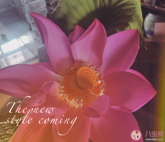 你眼里的愛情是什么模樣 哪種愛情是你想要的