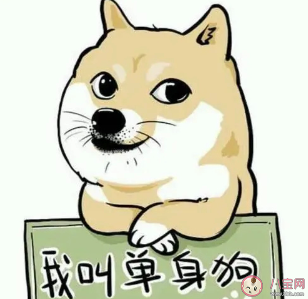 單身久了會傷身嗎 長期單身的危害有哪些