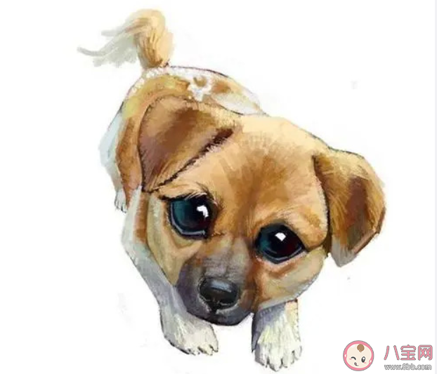 單身久了會傷身嗎 長期單身的危害有哪些