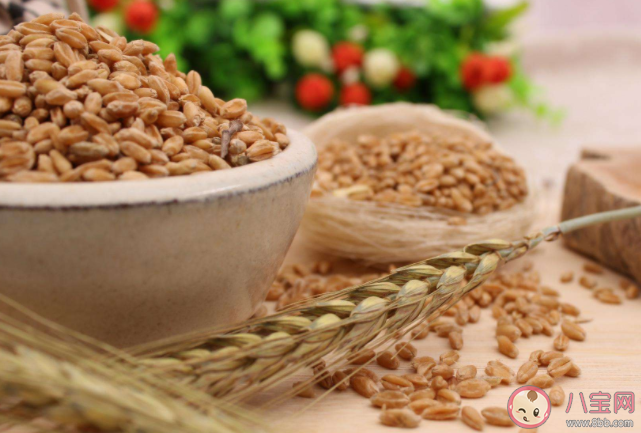 全谷物對(duì)健康有哪些好處 科學(xué)食用全谷物實(shí)用建議 全谷物對(duì)健康有哪些好處 科學(xué)食用全谷物實(shí)用建議