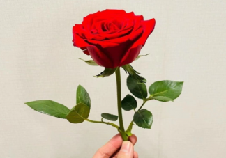 七夕節(jié)是古代的婦女節(jié)嗎 古代七夕節(jié)有哪些習(xí)俗