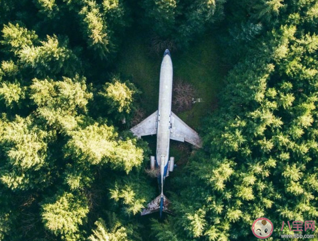 分享欲在感情里占比高嗎 感情中分享欲重要嗎 分享欲在感情里占比高嗎 感情中分享欲重要嗎