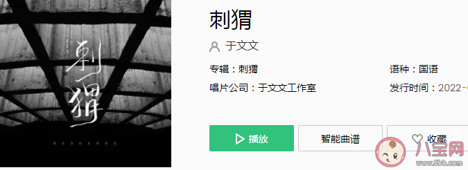 于文文新歌《刺猬》歌詞是什么 《刺猬》完整版歌詞內容