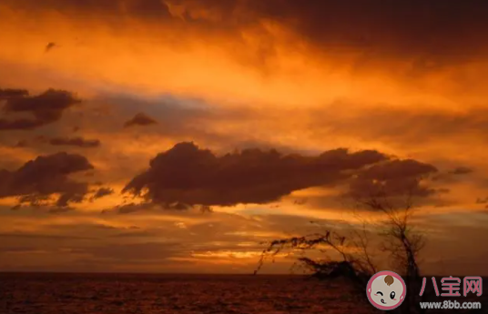 為什么會偏愛黃昏 喜歡看黃昏的原因是什么 為什么會偏愛黃昏 喜歡看黃昏的原因是什么