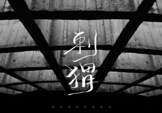 于文文新歌《刺猬》歌詞是什么 《刺猬》完整版歌詞內容