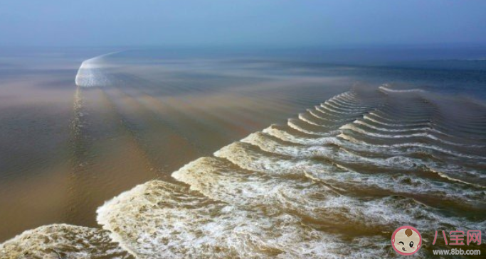 錢塘江魚鱗潮是如何形成的 觀潮安全小貼士
