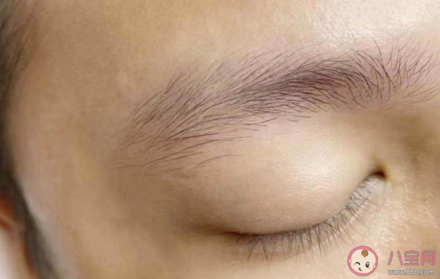 眉毛越長壽命越長是真的嗎 眉毛變長是好事還是壞事 眉毛越長壽命越長是真的嗎 眉毛變長是好事還是壞事