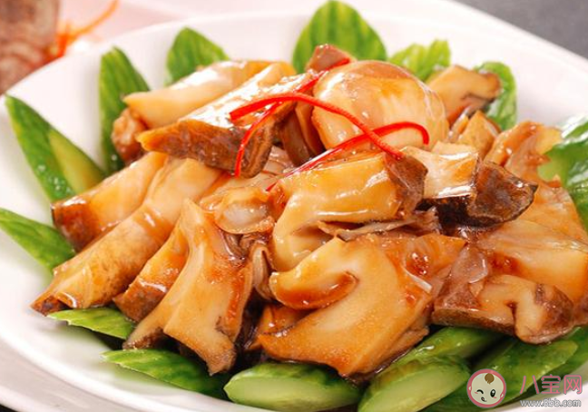 為了健康考慮海螺的什么部位最好不要吃 螞蟻莊園8月9日答案介紹 為了健康考慮海螺的什么部位最好不要吃 螞蟻莊園8月9日答案介紹