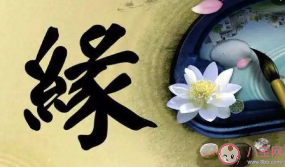 緣分可以量化嗎 你還相信緣分嗎