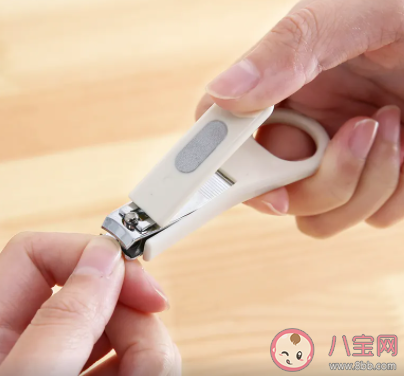 螞蟻莊園指甲是剪得越短越好嗎 小課堂8月10日答案最新 螞蟻莊園指甲是剪得越短越好嗎 小課堂8月10日答案最新