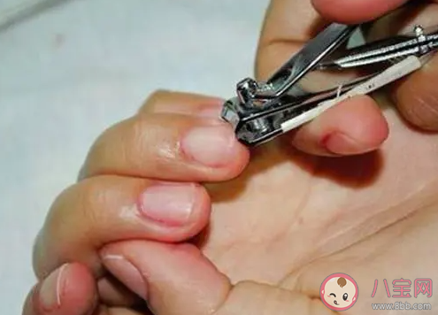 螞蟻莊園指甲是剪得越短越好嗎 小課堂8月10日答案最新 螞蟻莊園指甲是剪得越短越好嗎 小課堂8月10日答案最新