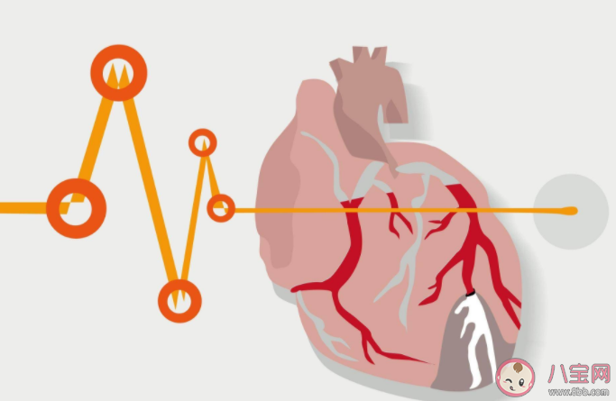 這些血管軟化方法不可信 想要血管健康要做好這些事 這些血管軟化方法不可信 想要血管健康要做好這些事
