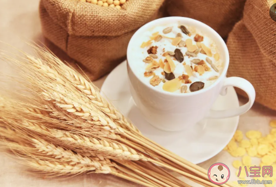 燕麥?zhǔn)且环N什么樣的食物 燕麥與小麥相比哪種更健康 燕麥?zhǔn)且环N什么樣的食物 燕麥與小麥相比哪種更健康