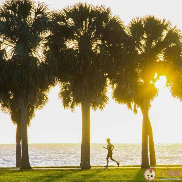 學文學到底有什么用 學文學有什么好處