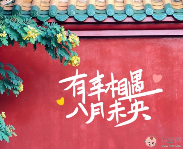 該不該支持單身父母去相親 你會同意父母去相親嗎 該不該支持單身父母去相親 你會同意父母去相親嗎