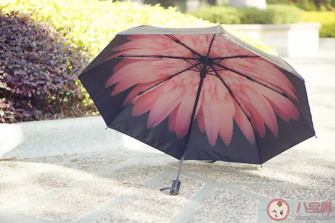 防曬傘真的是越貴越好嗎 怎樣挑選防曬傘