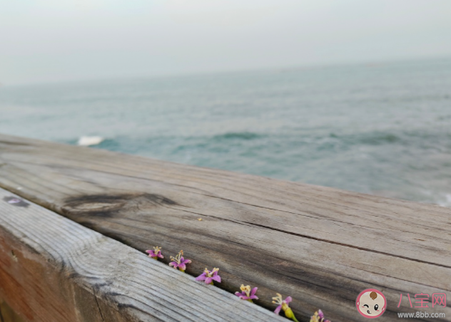 冷暴力的婚姻到底多可怕 冷暴力真的可以把人逼瘋嗎