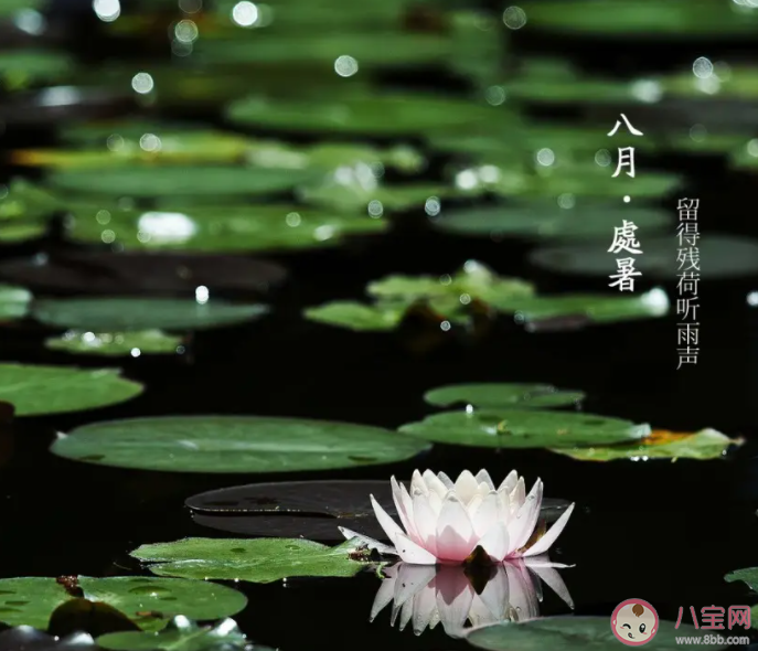 處暑真的會出暑嗎 處暑三候怎么理解 處暑真的會出暑嗎 處暑三候怎么理解