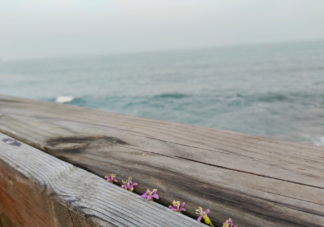 冷暴力的婚姻到底多可怕 冷暴力真的可以把人逼瘋嗎