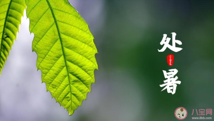 2022處暑節氣圖片送祝福的說說句子 2022處暑節氣問候語說說大全 2022處暑節氣圖片送祝福的說說句子 2022處暑節氣問候語說說大全