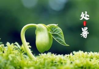 2022處暑節氣圖片送祝福的說說句子 2022處暑節氣問候語說說大全