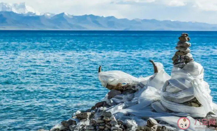 成語絕無僅有正確的意思是以下哪個 螞蟻莊園8月16日答案介紹