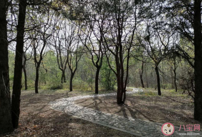 雨后泥土的清香來自于什么 螞蟻莊園8月17日正確答案