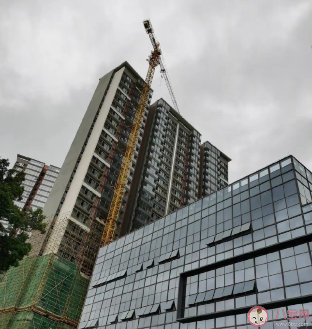 年輕人為何樂于返鄉置業 怎樣看待年輕人回鄉發展