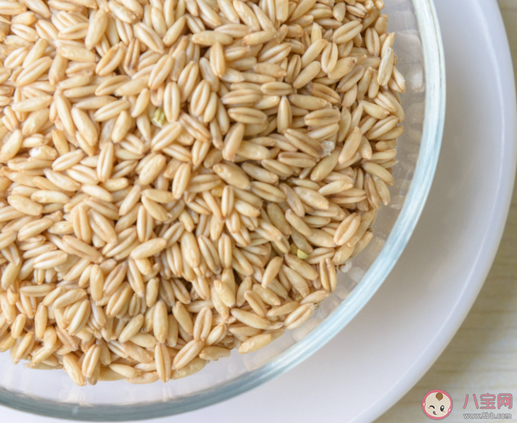 燕麥和麥片有什么區別如何健康食用燕麥