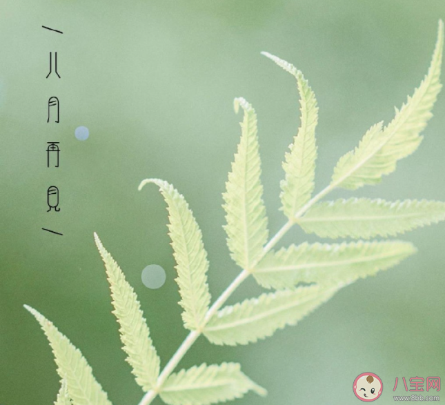 2022八月再見九月你好的圖片正能量說說 2022八月再見迎接九月的心情句子