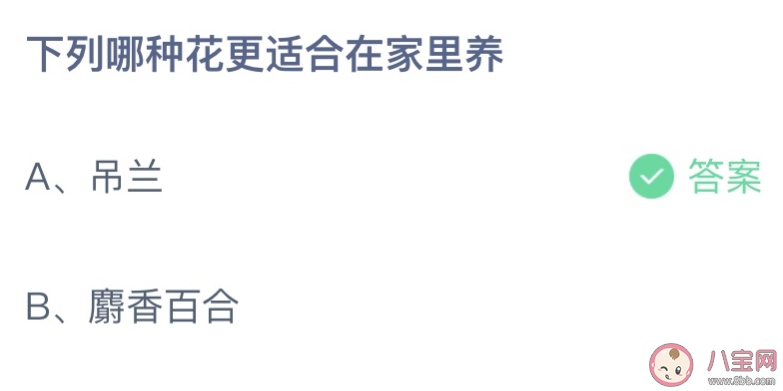 下列哪種花更適合在家里養 螞蟻莊園8月19日答案最新 下列哪種花更適合在家里養 螞蟻莊園8月19日答案最新
