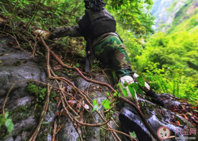 戶外探險有哪些隱患 戶外探險要關注什么